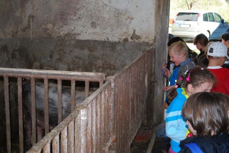 naravoslovni dan Na kmetiji 010